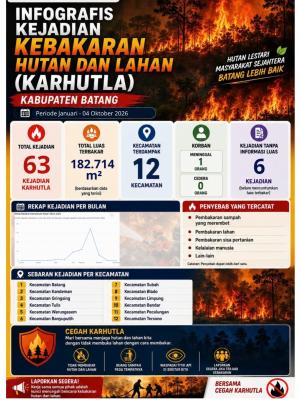 Infografis